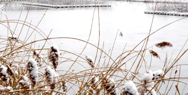 和治友德 | 小雪：潜伏闭藏调情绪，清火防寒补肾阳